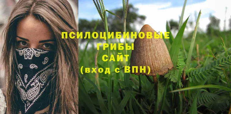 Псилоцибиновые грибы Magic Shrooms  где можно купить   Венёв 